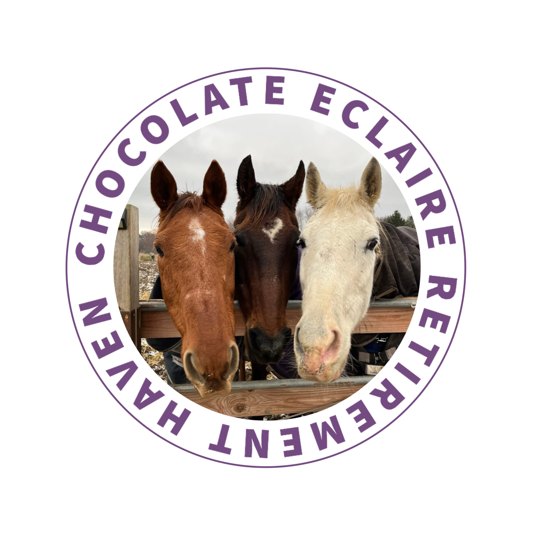 Chocolate Eclaire Retirement Haven