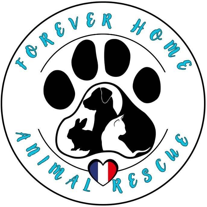 Forever Home Animal Rescue Inc