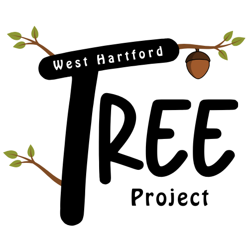 West Hartford Tree Project