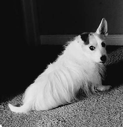 Max | Best Ears | Becky Batres logo