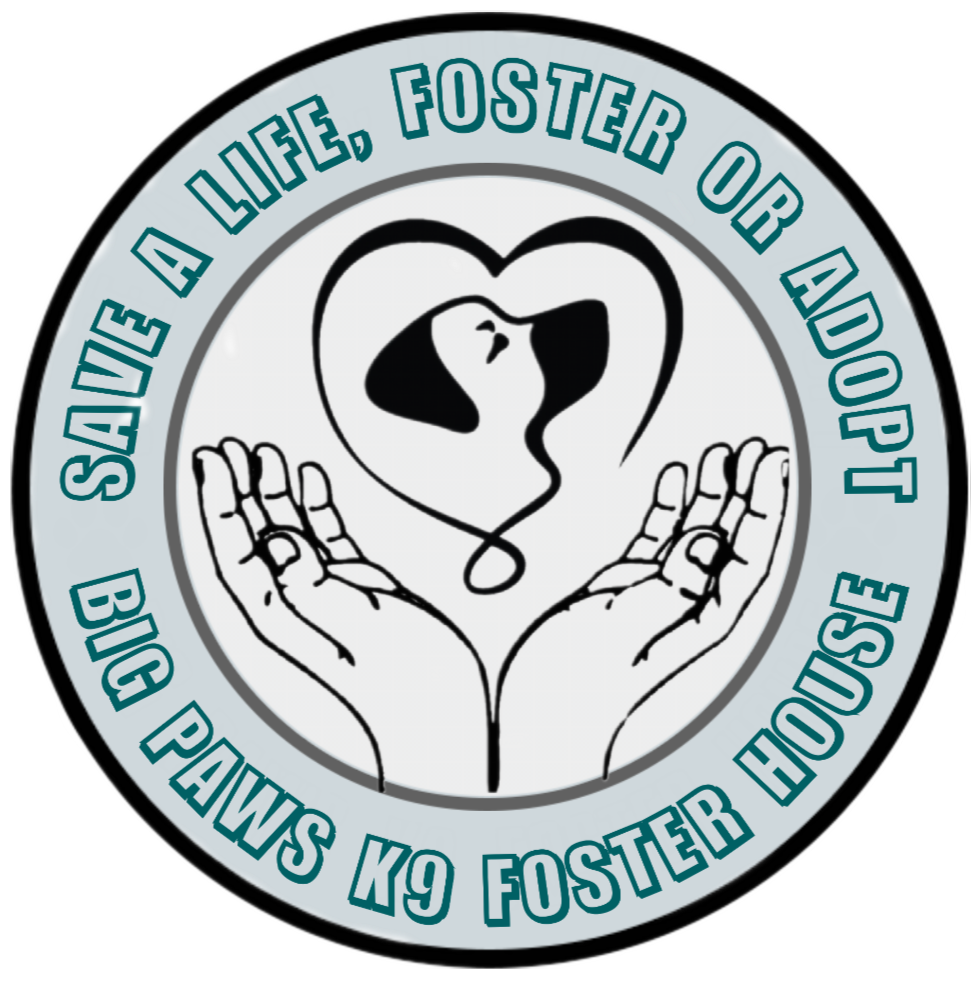 Big Paws K9 Foster House