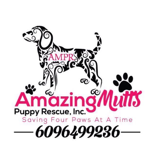 Amazing Mutts Puppy Rescue, llc.