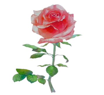 The Imagine Center Foundation