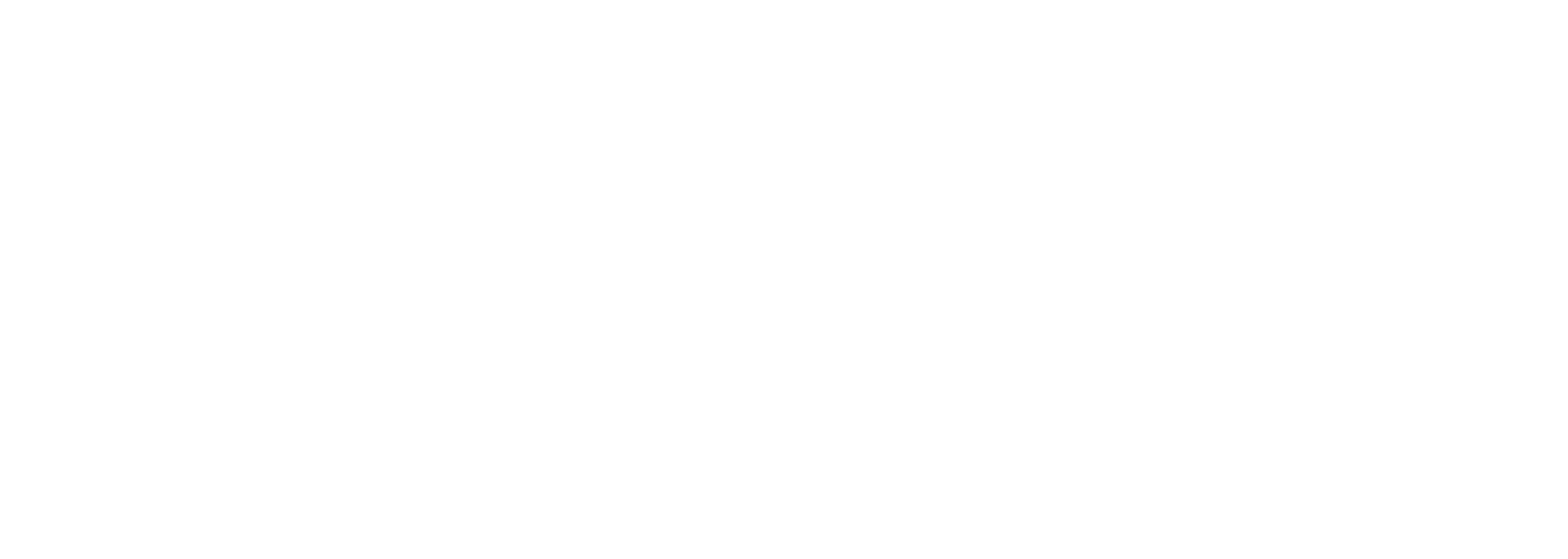 Children's Arts & Science Workshops, Inc.