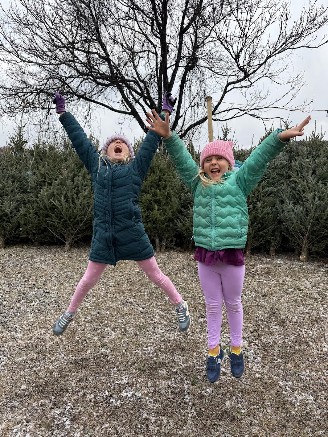 Rosie Lou & Vivian Stehouwer logo