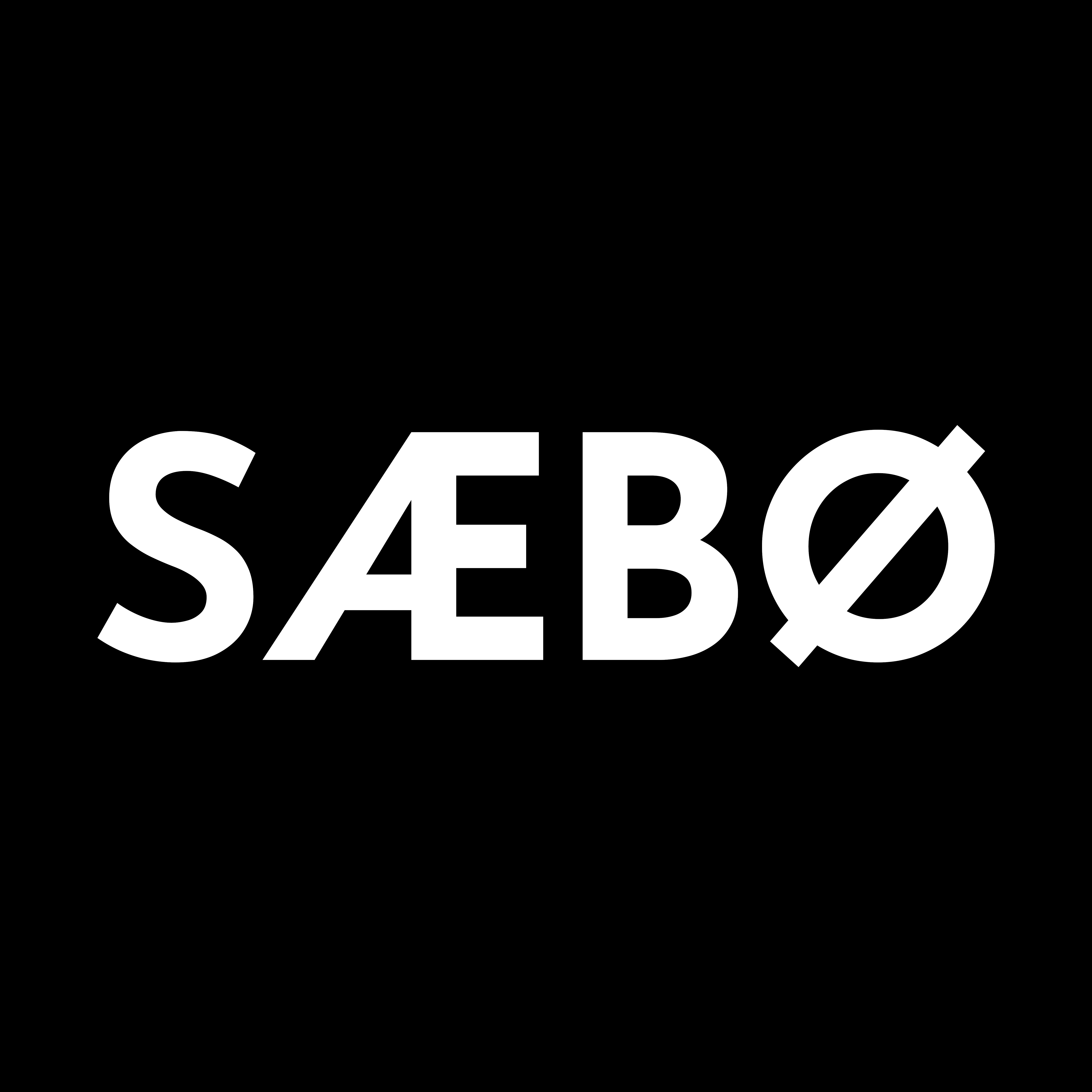 SAEBO ARTS INC