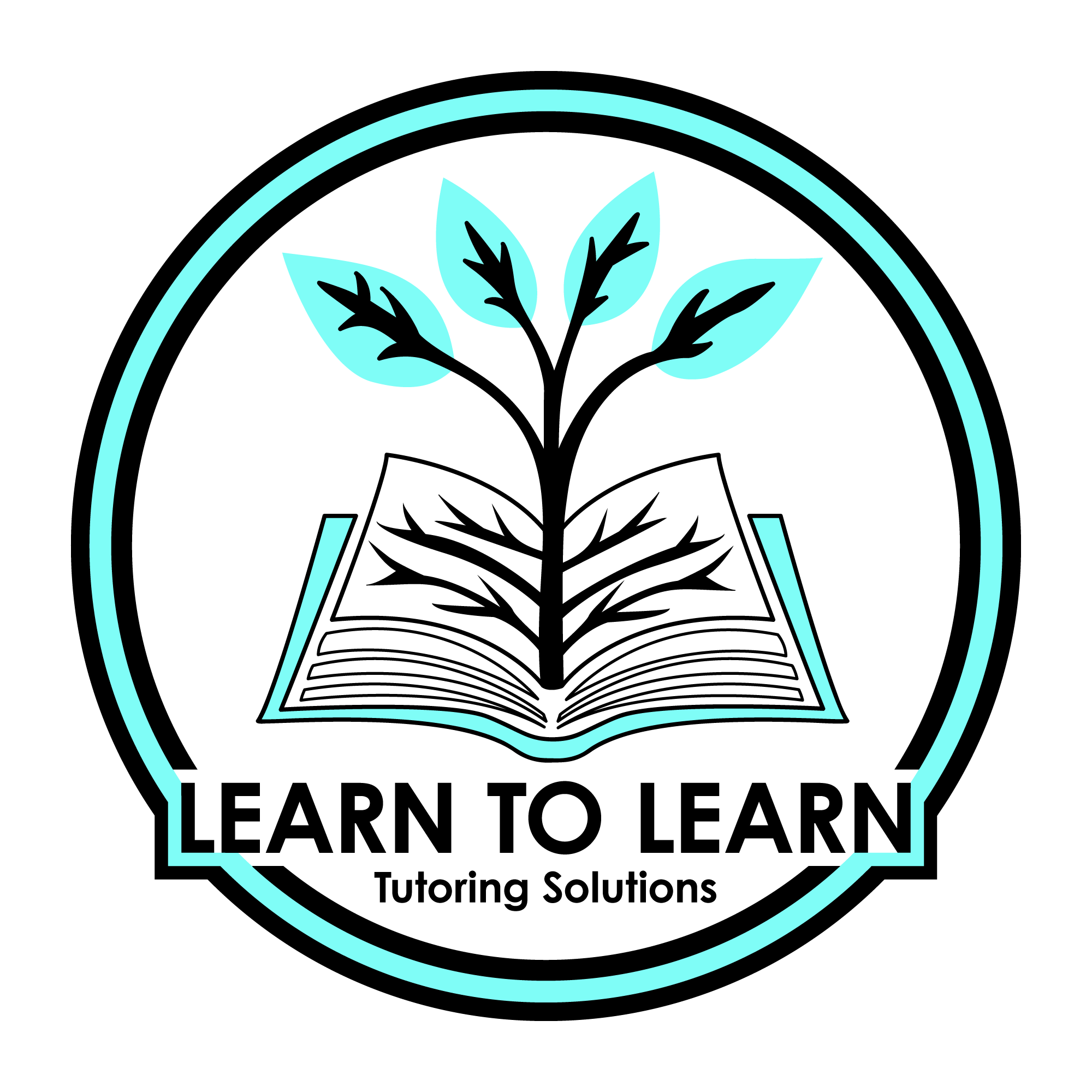 Learn to Learn
