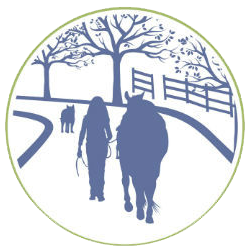 Courageous Connections