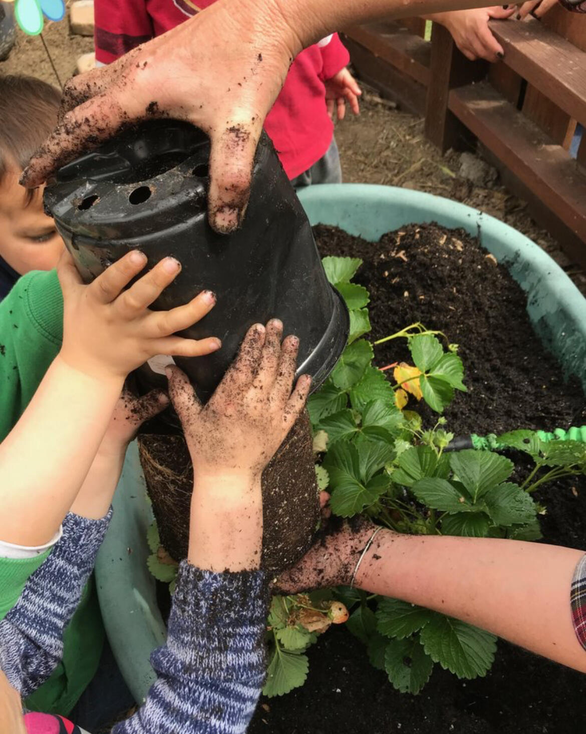 Peppertree Schools Legacy Foundation