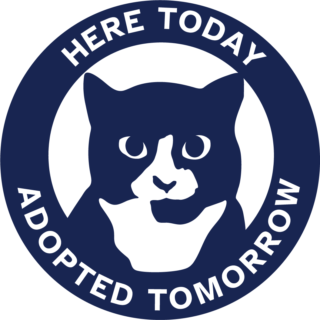 Here Today Adopted Tomorrow Animal Sanctuary