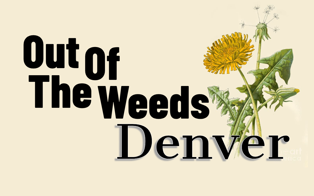 Out Of The Weeds Denver
