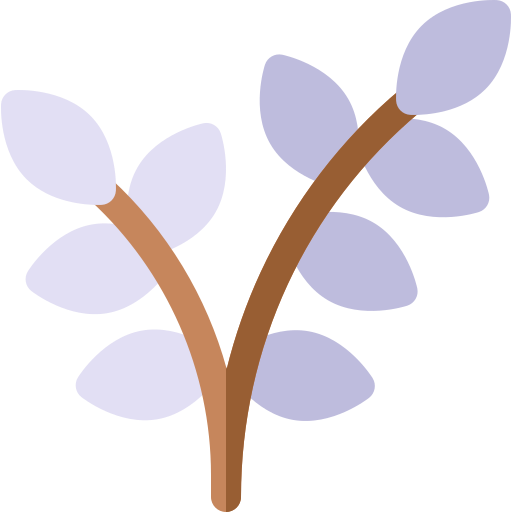 Solidarity Economy Principles Project