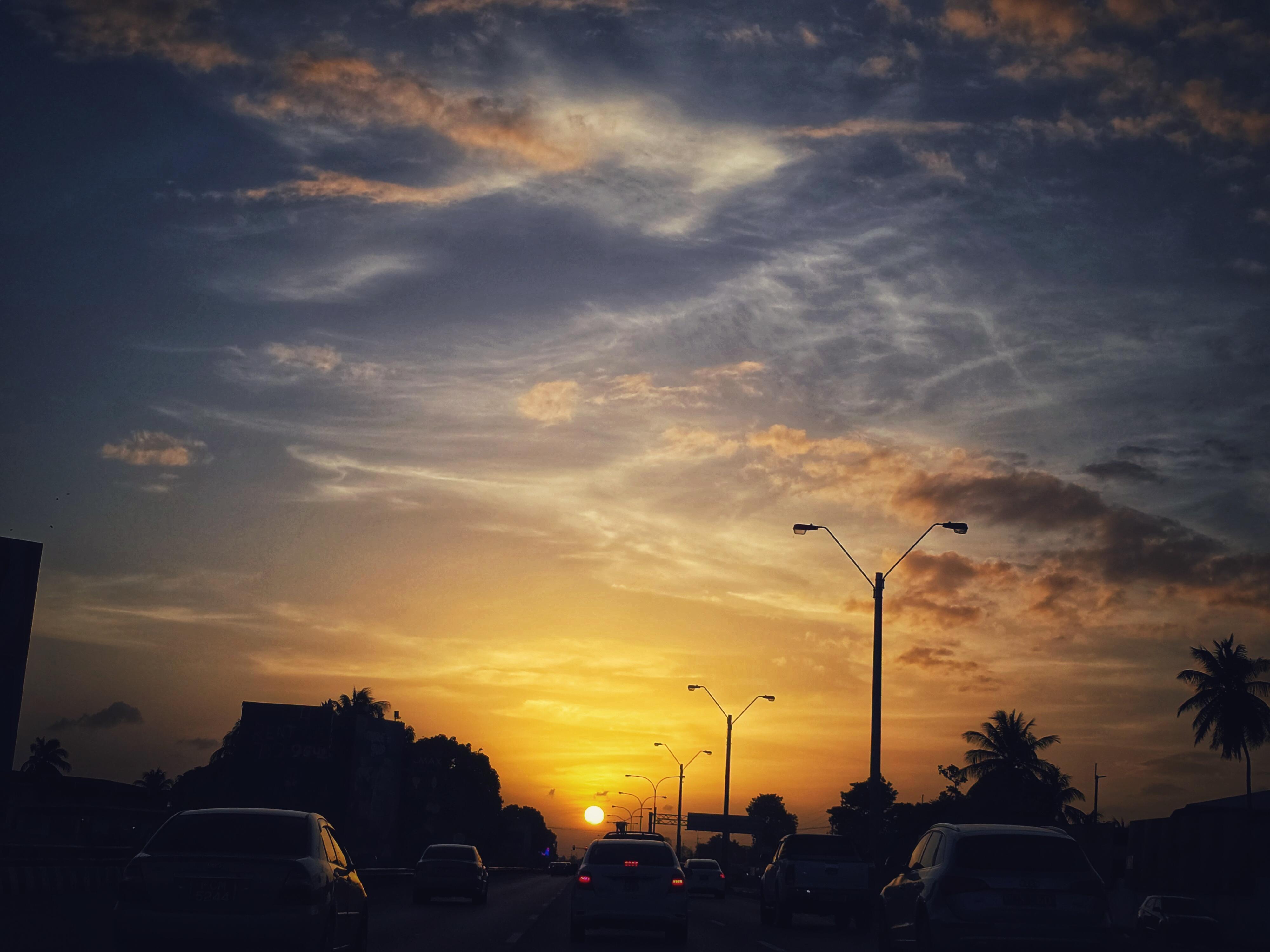 The Hummingbirds logo