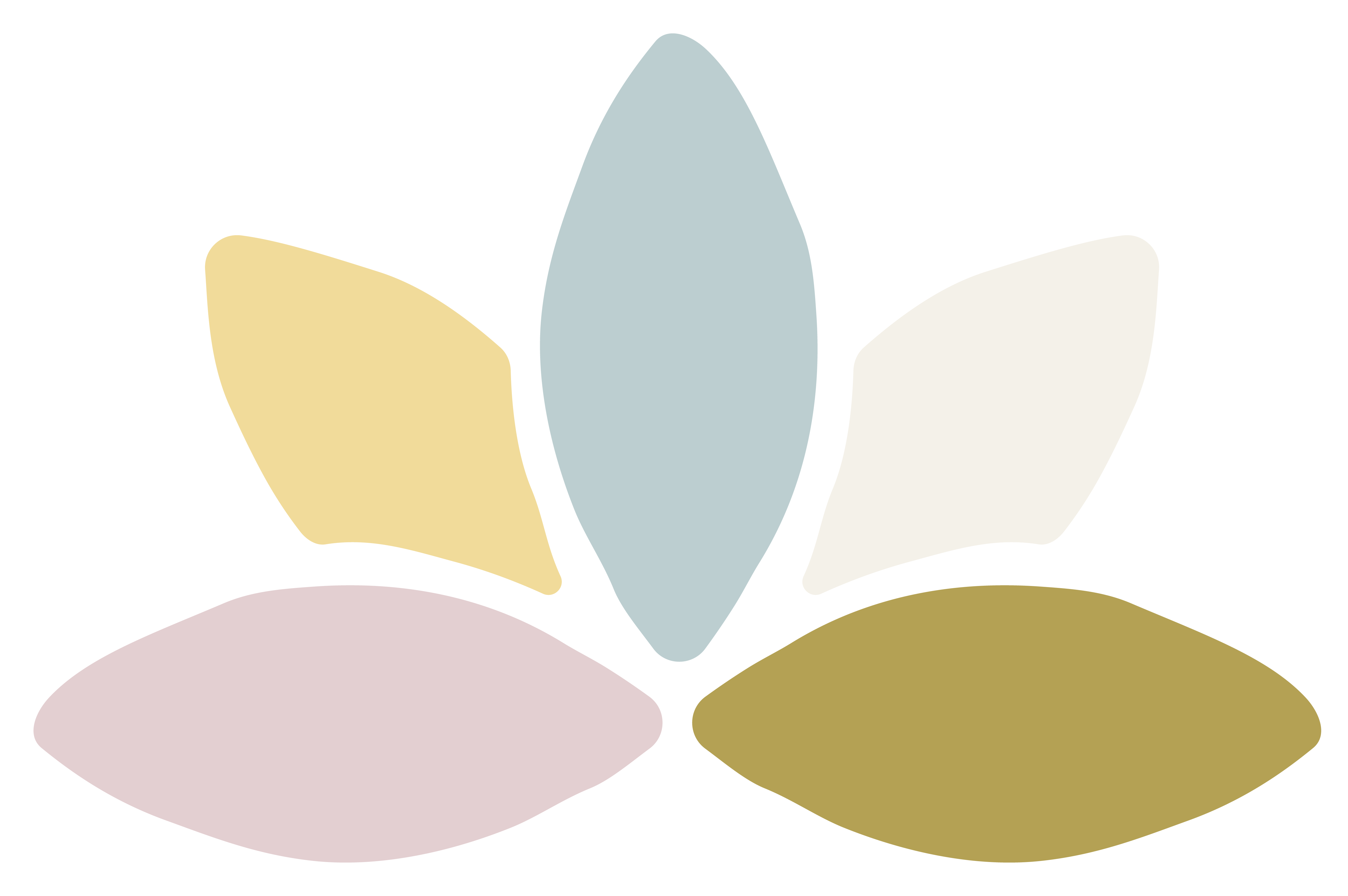Women’s Wellness Clinic of Woodland
