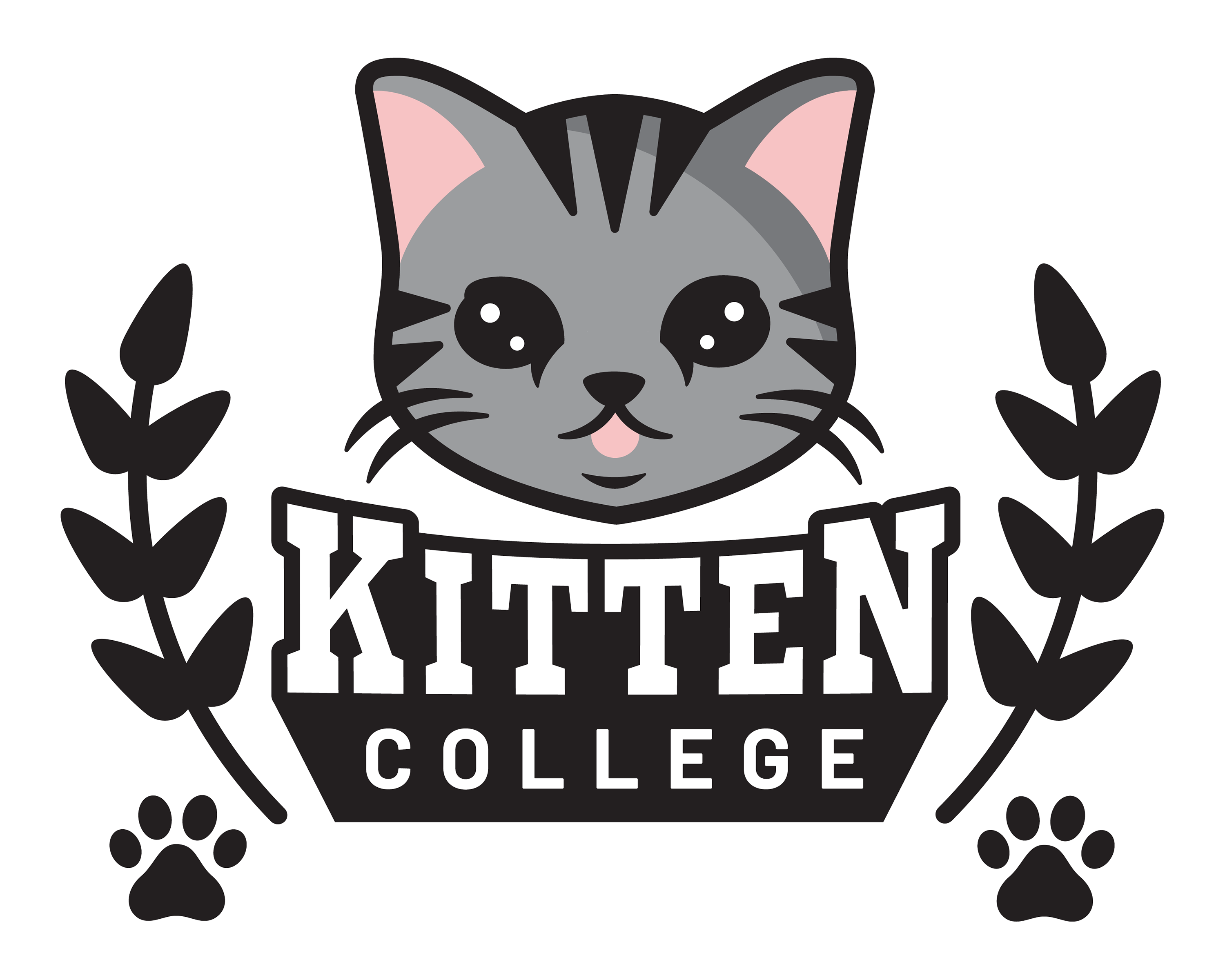 National Kitten College
