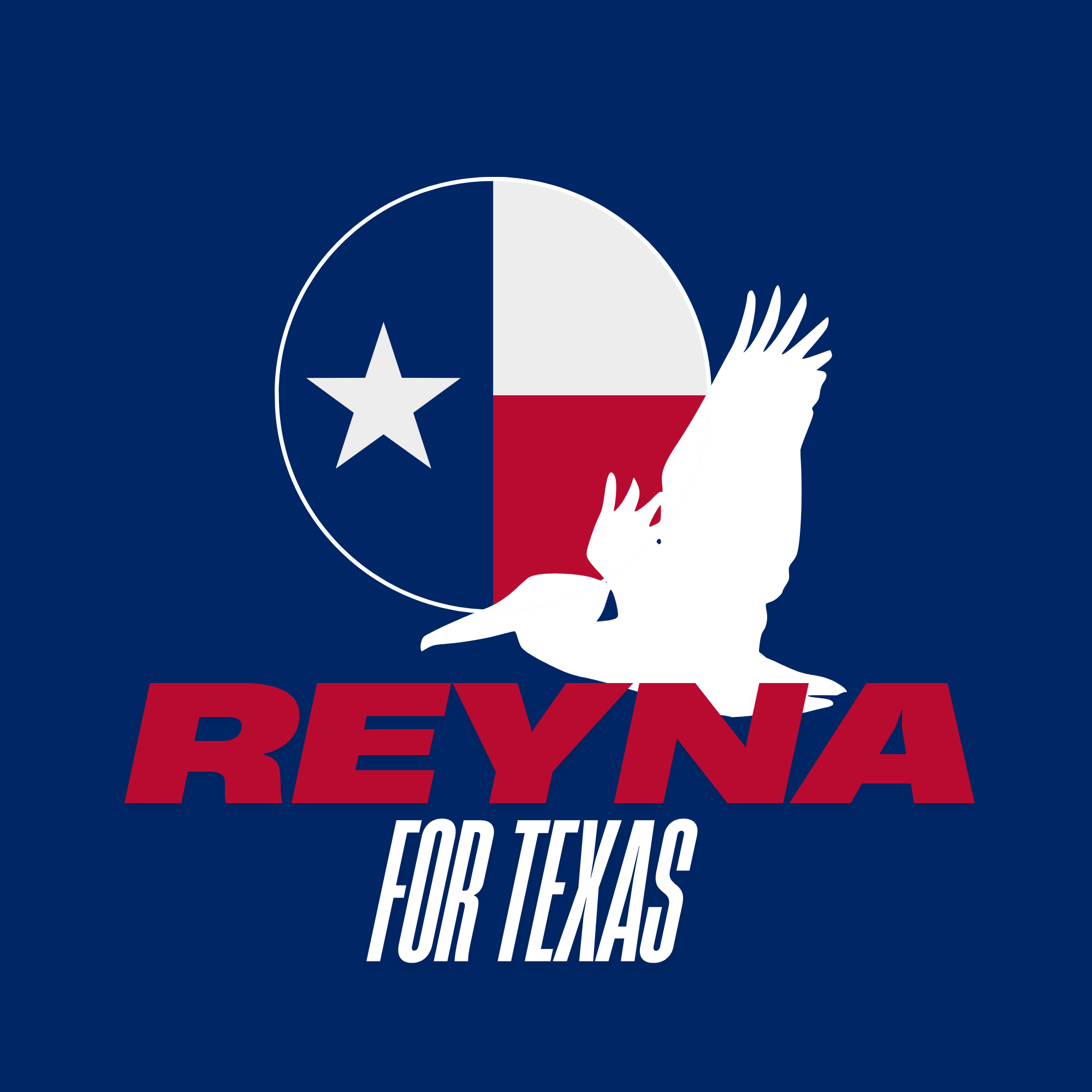 Reyna Anderson for Texas