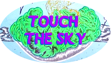 Touch The Sky