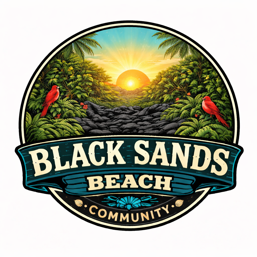 Black Sands Beach POA