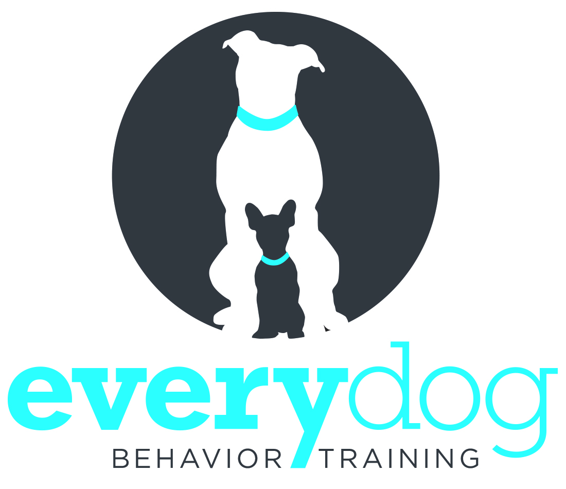 Every Dog Behavior and Training
