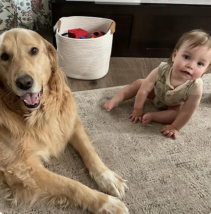 Sadie | Best Child Handler | The Moxons logo