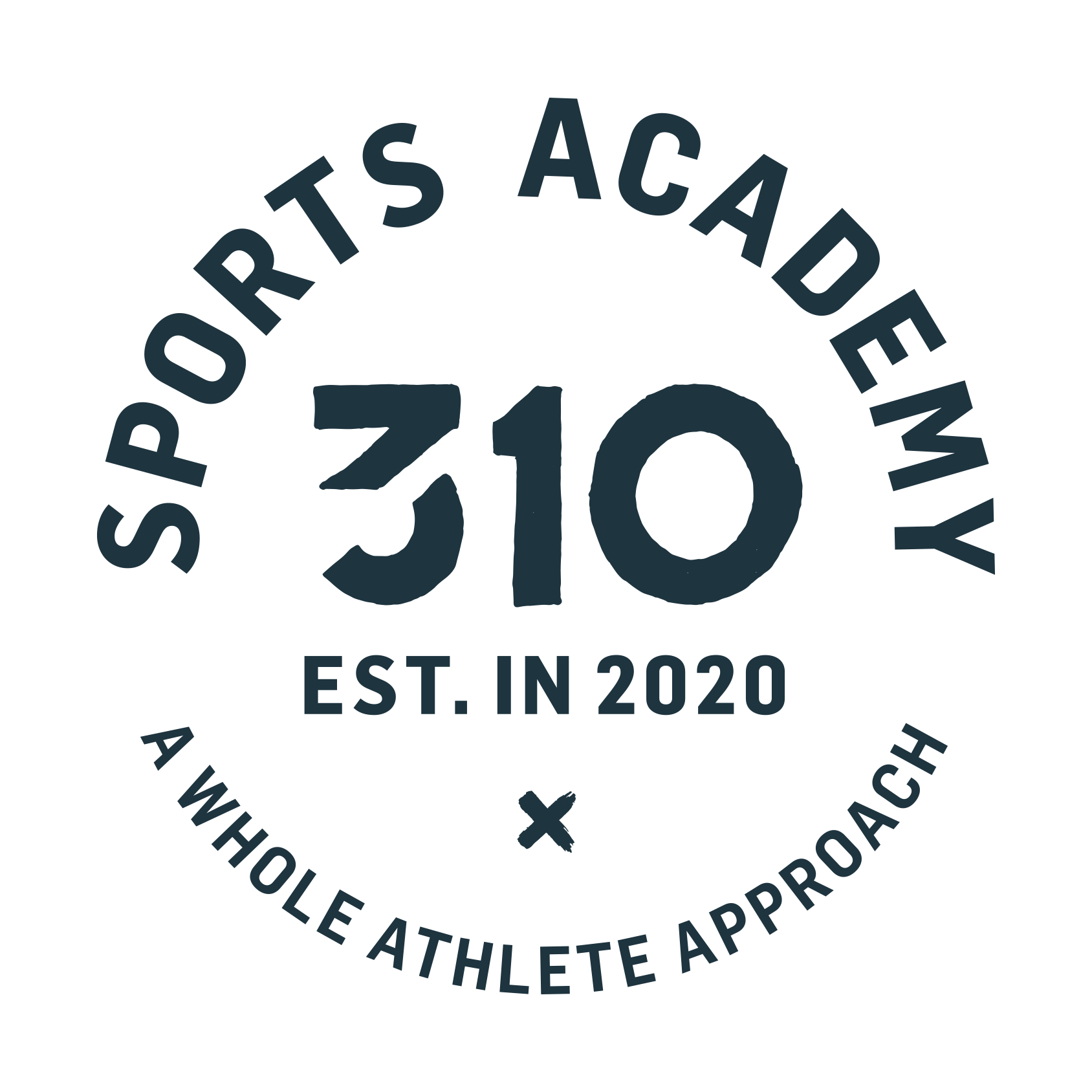 310 Sports Academy