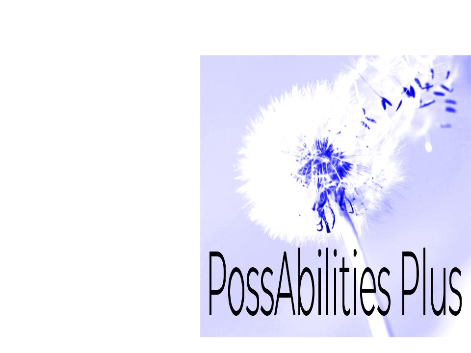 Possabilities Plus Inc