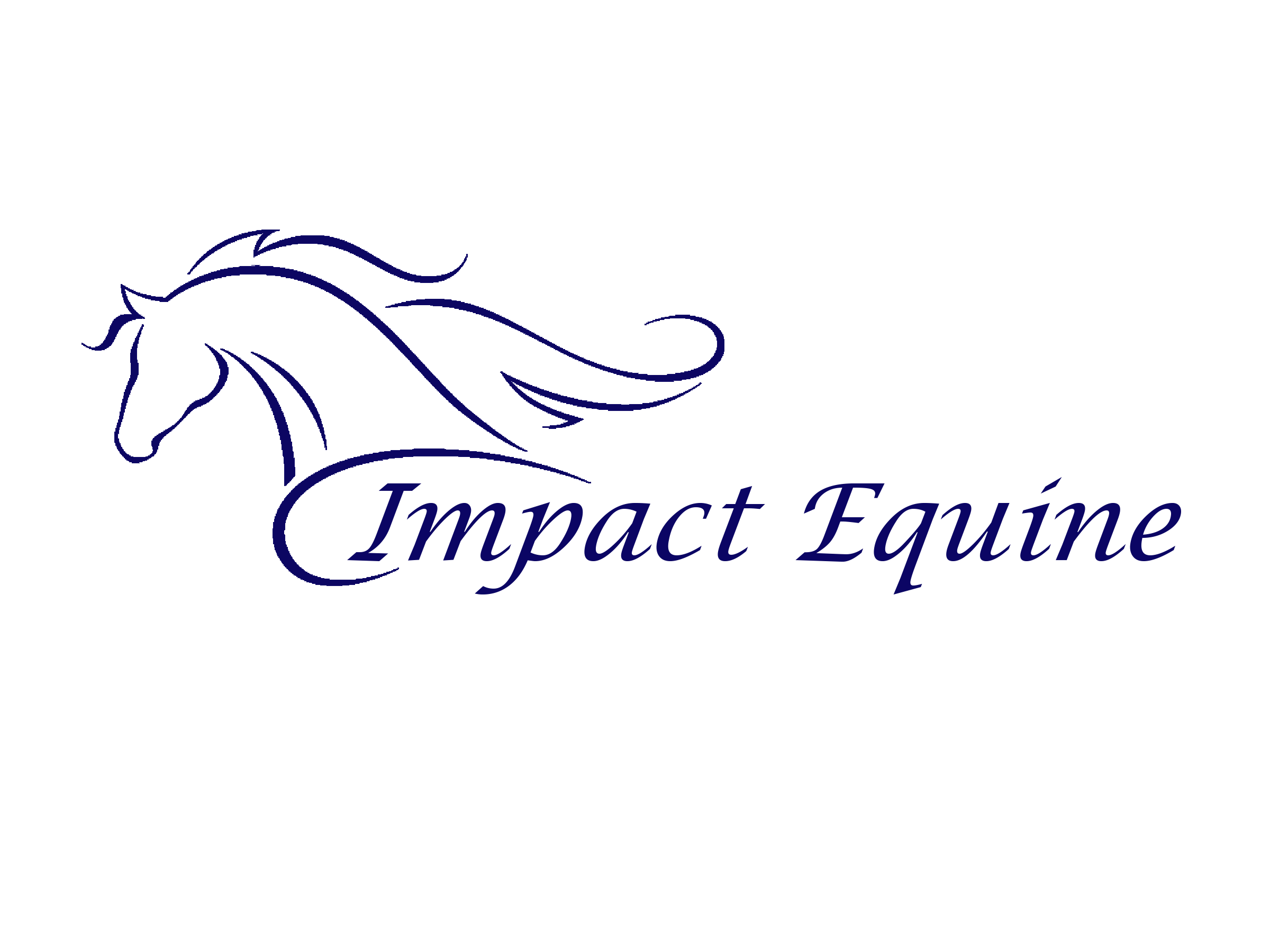 Impact equine inc