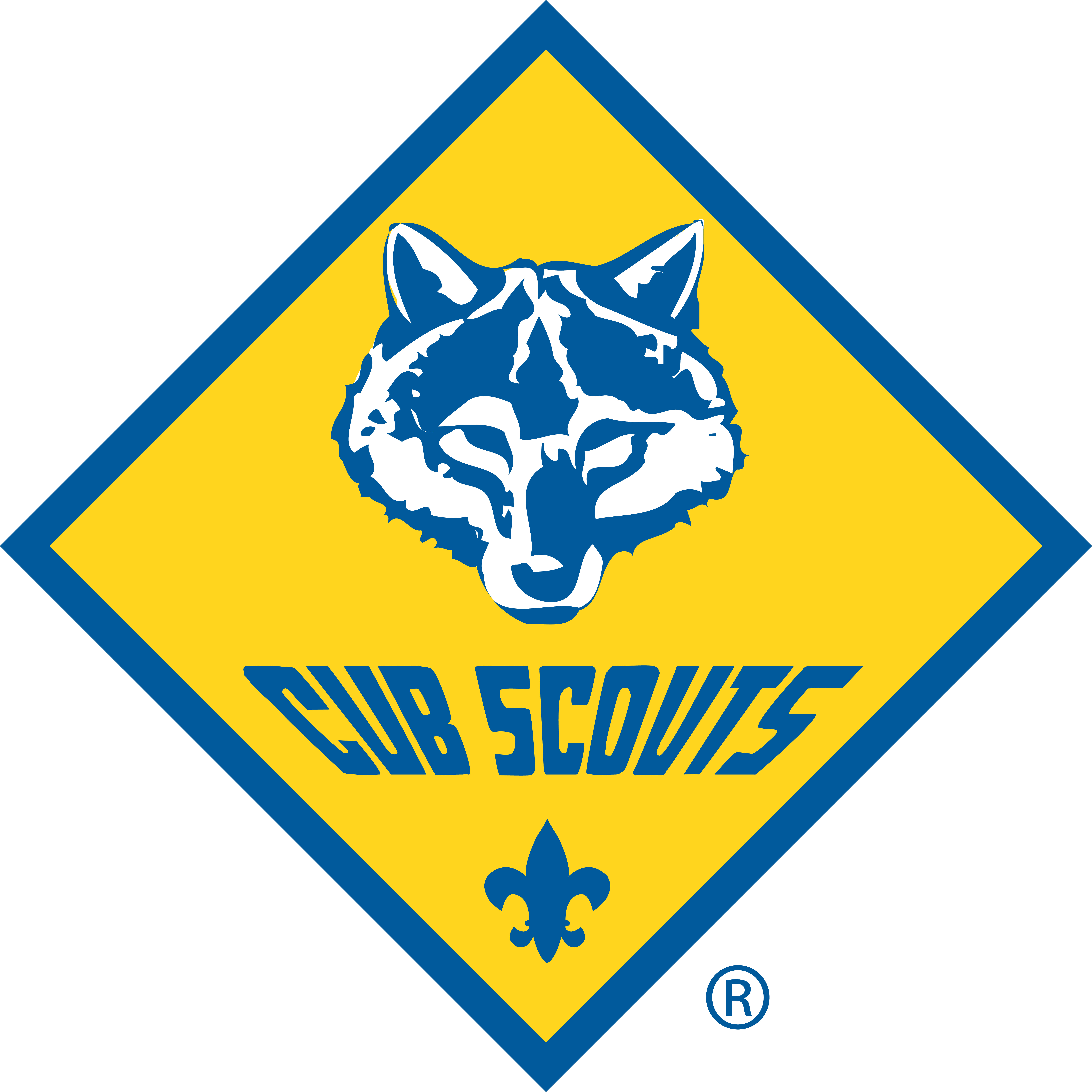 Cub Scout Pack 136
