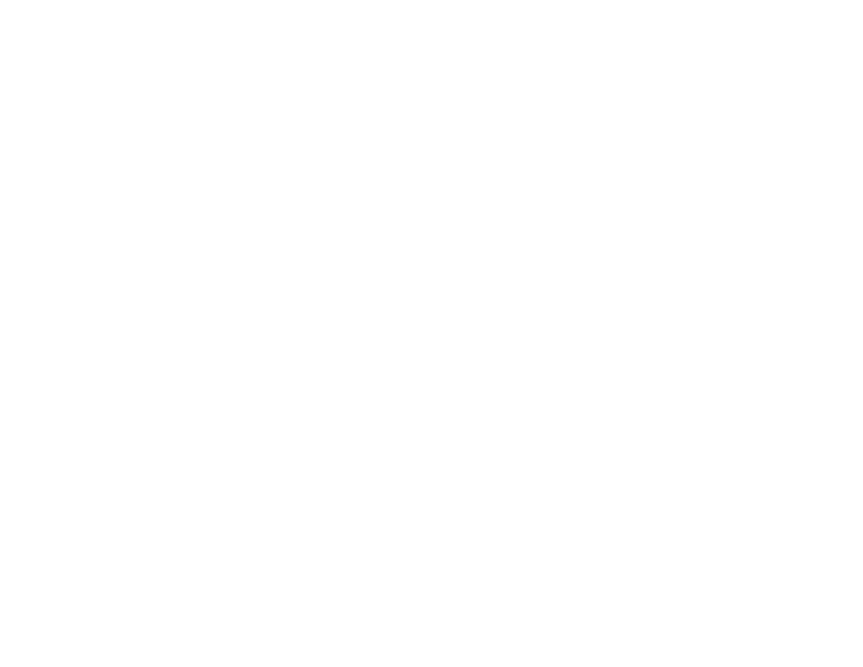 Merlin Metalworks