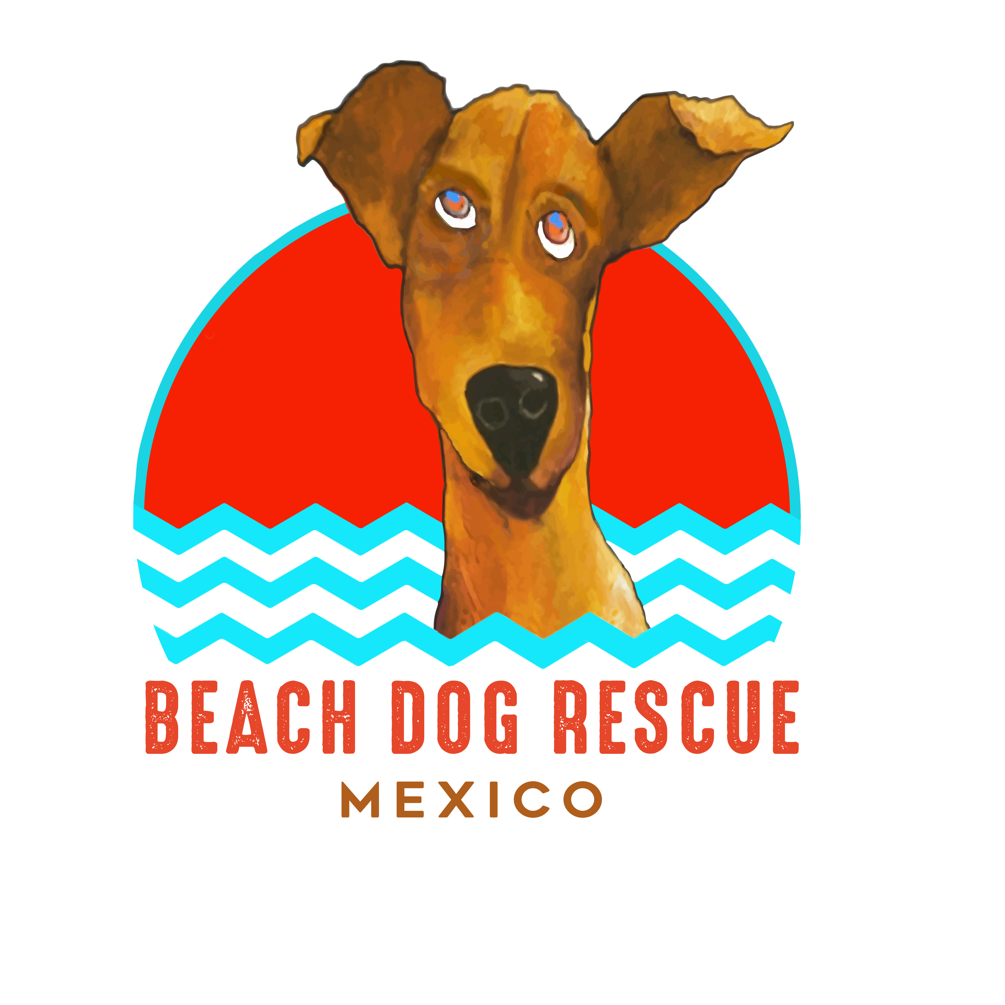 Beach Dog Rescue of Costa Maya Mexico Inc