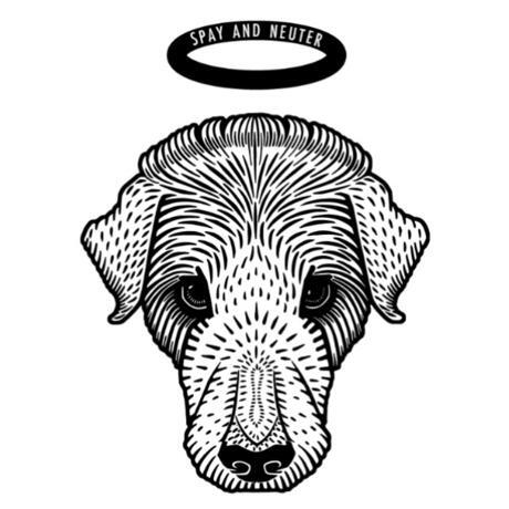 The Spay[ce] Project