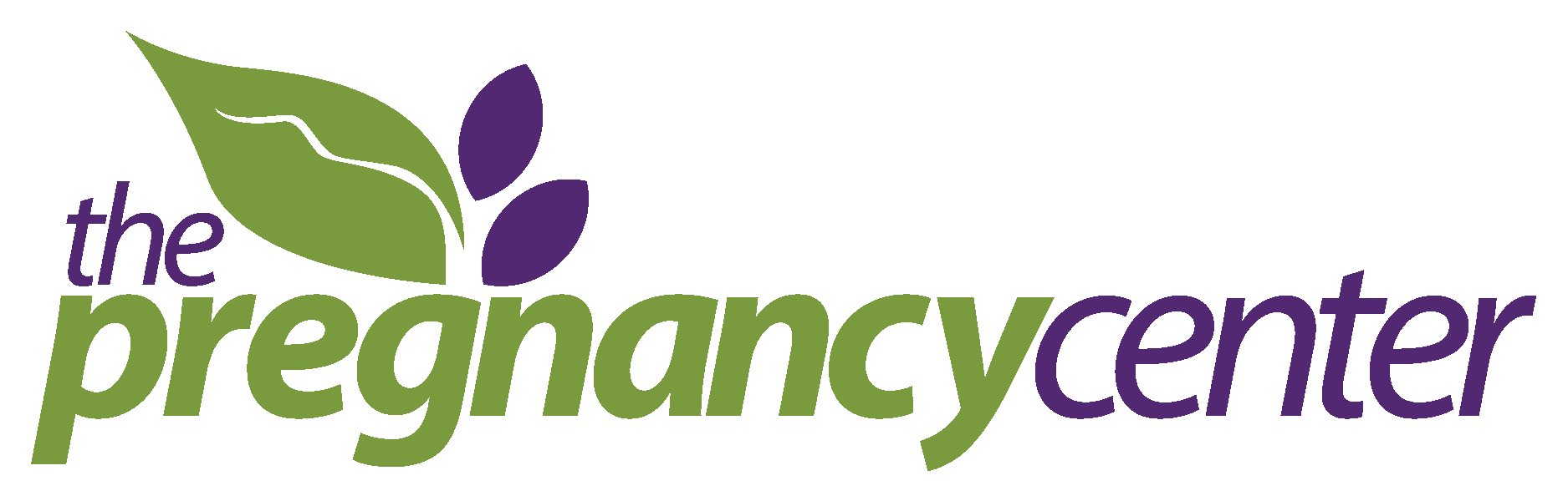 THE PREGNANCY CENTER