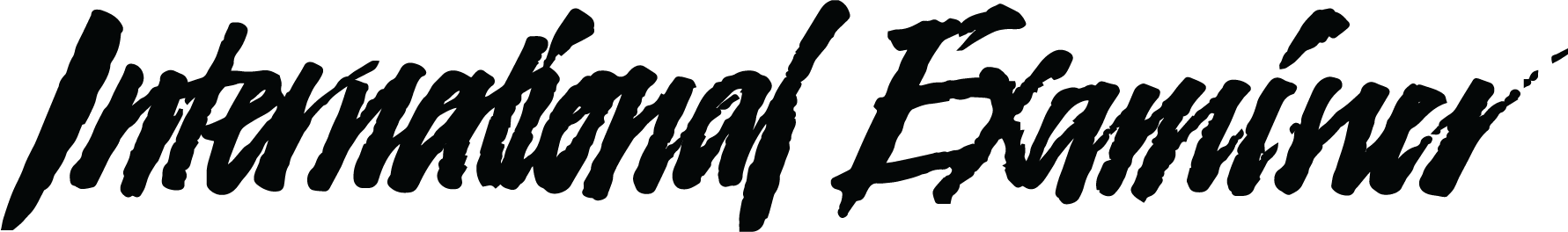 International Examiner