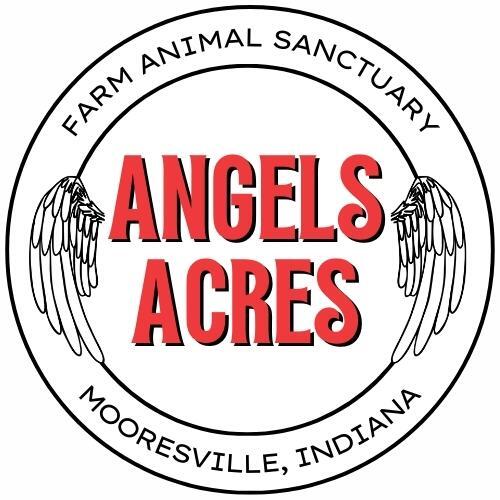 Angels Acres Farm Animal Sanctuary