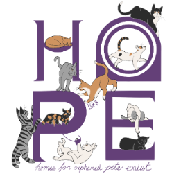 #1 - Cat Category logo