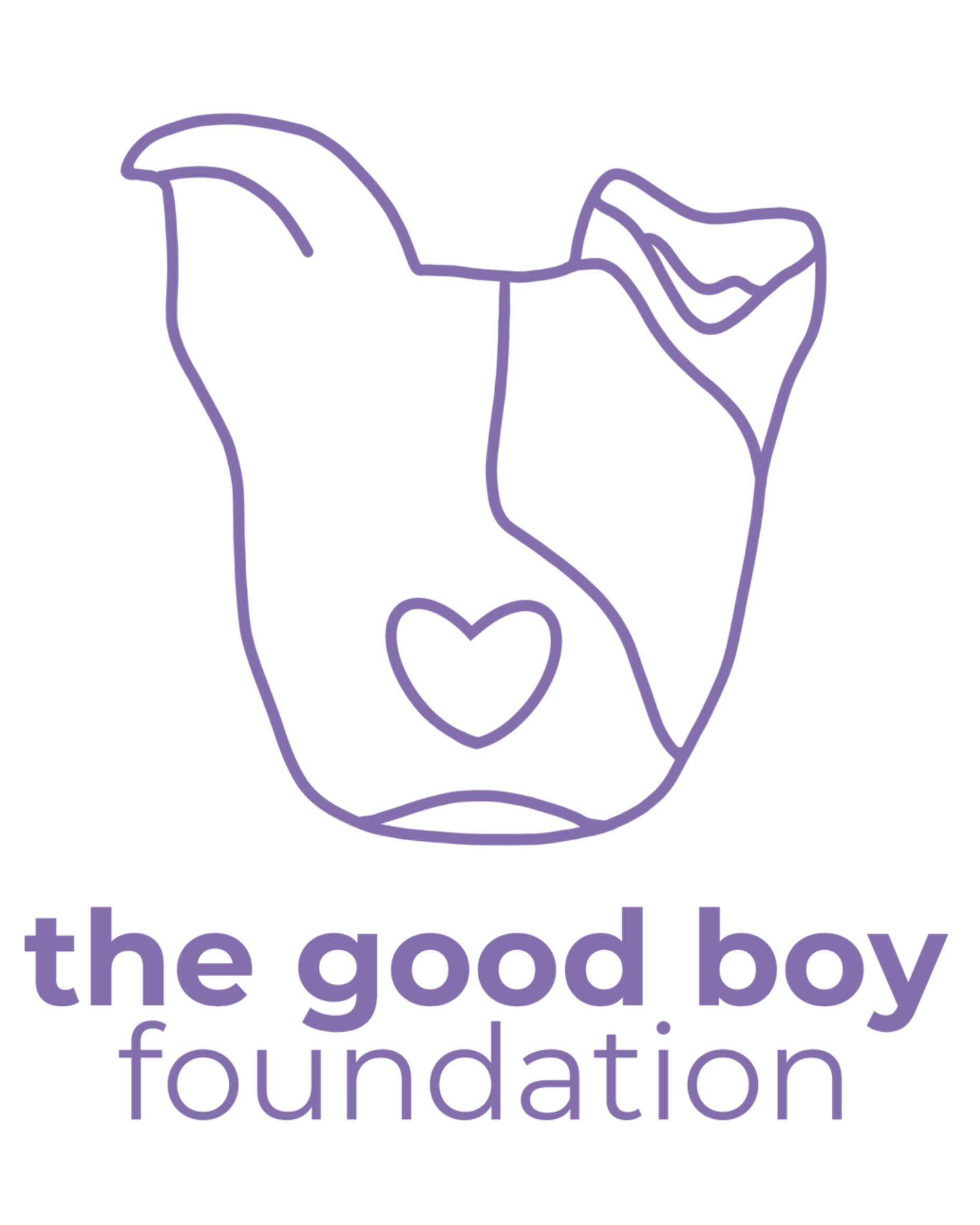 Good Boy Foundation