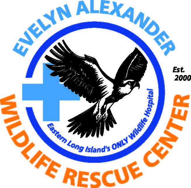 Evelyn Alexander Wildlife Rescue Center