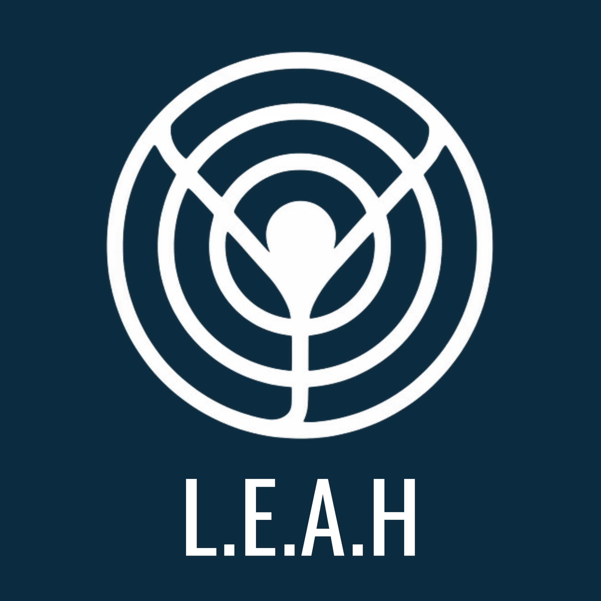 L.E.A.H for Justice, a project of Mockingbird Incubator