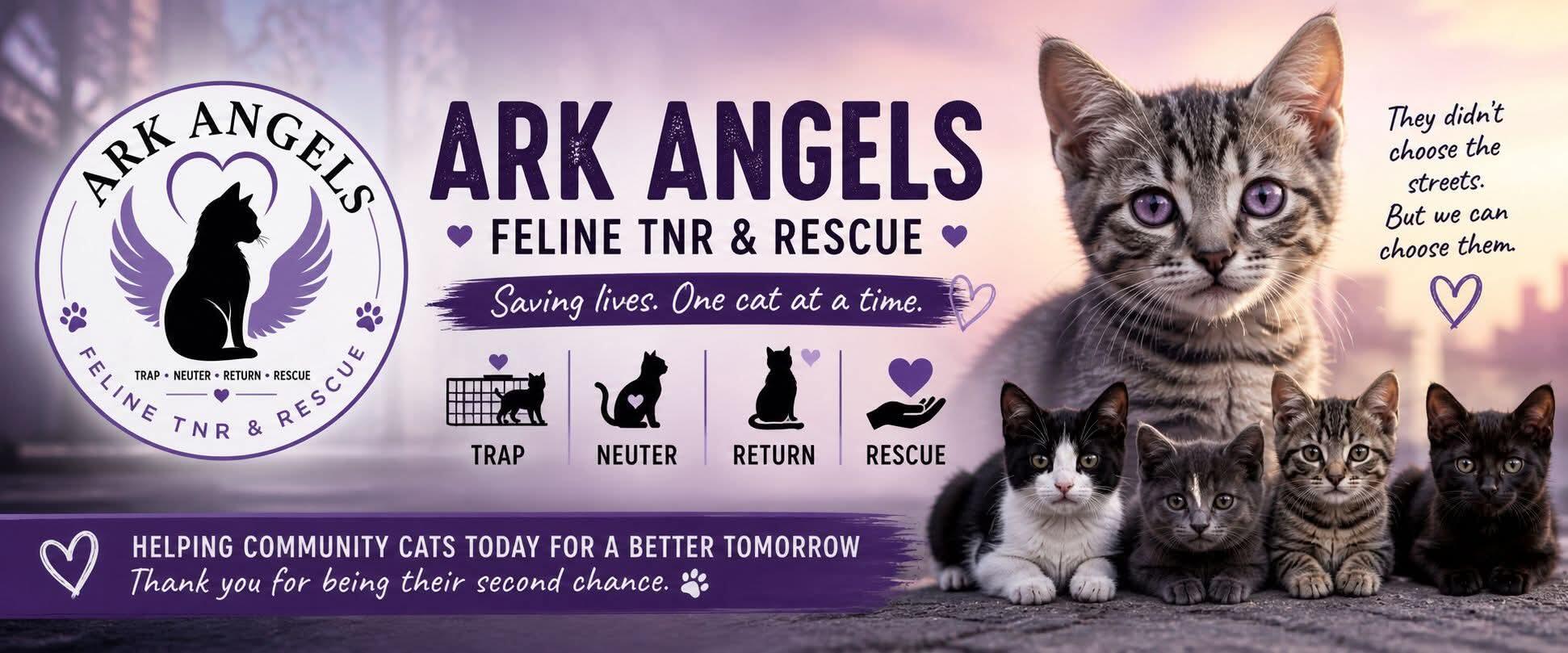 ARK ANGELS TNR & RESCUE, INC.