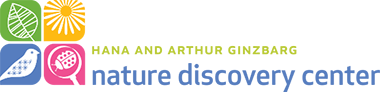 NDC Development Committee logo