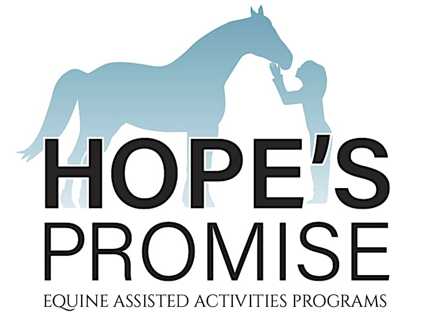 Hopes Promise Charitable Fund Inc