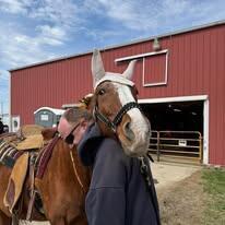 Support Our Veterans logo