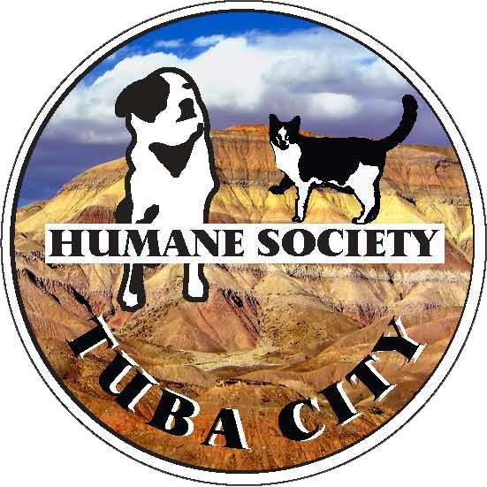 TUBA CITY HUMANE SOCIETY INCORPORATED