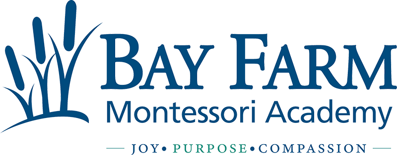 Bay Farm Montessori Academy Inc