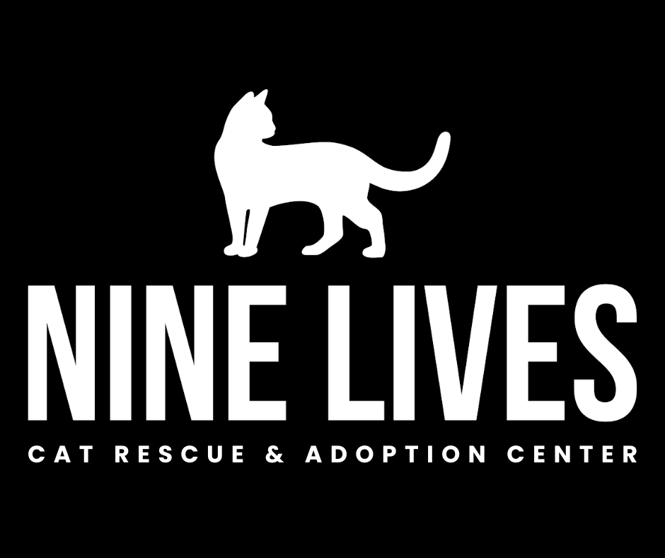 Nine Lives Cat Rescue And Adoption Center