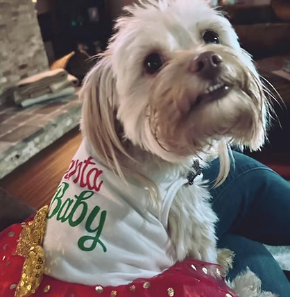 Maggie | Best Dressed | The Trentham Family logo