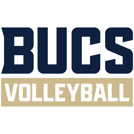 Volleyball logo