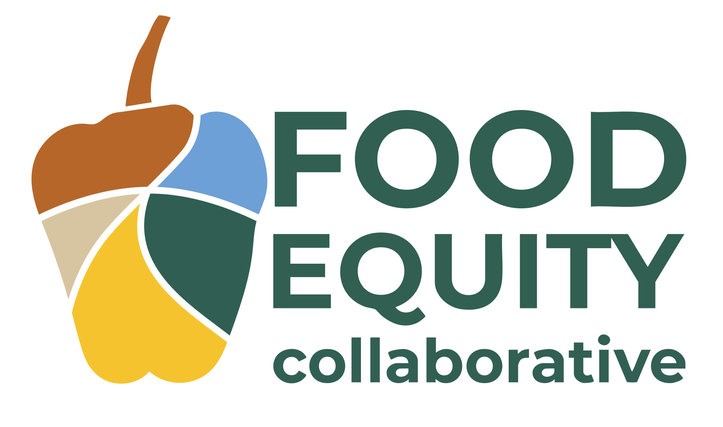 Food Equity Collaborative