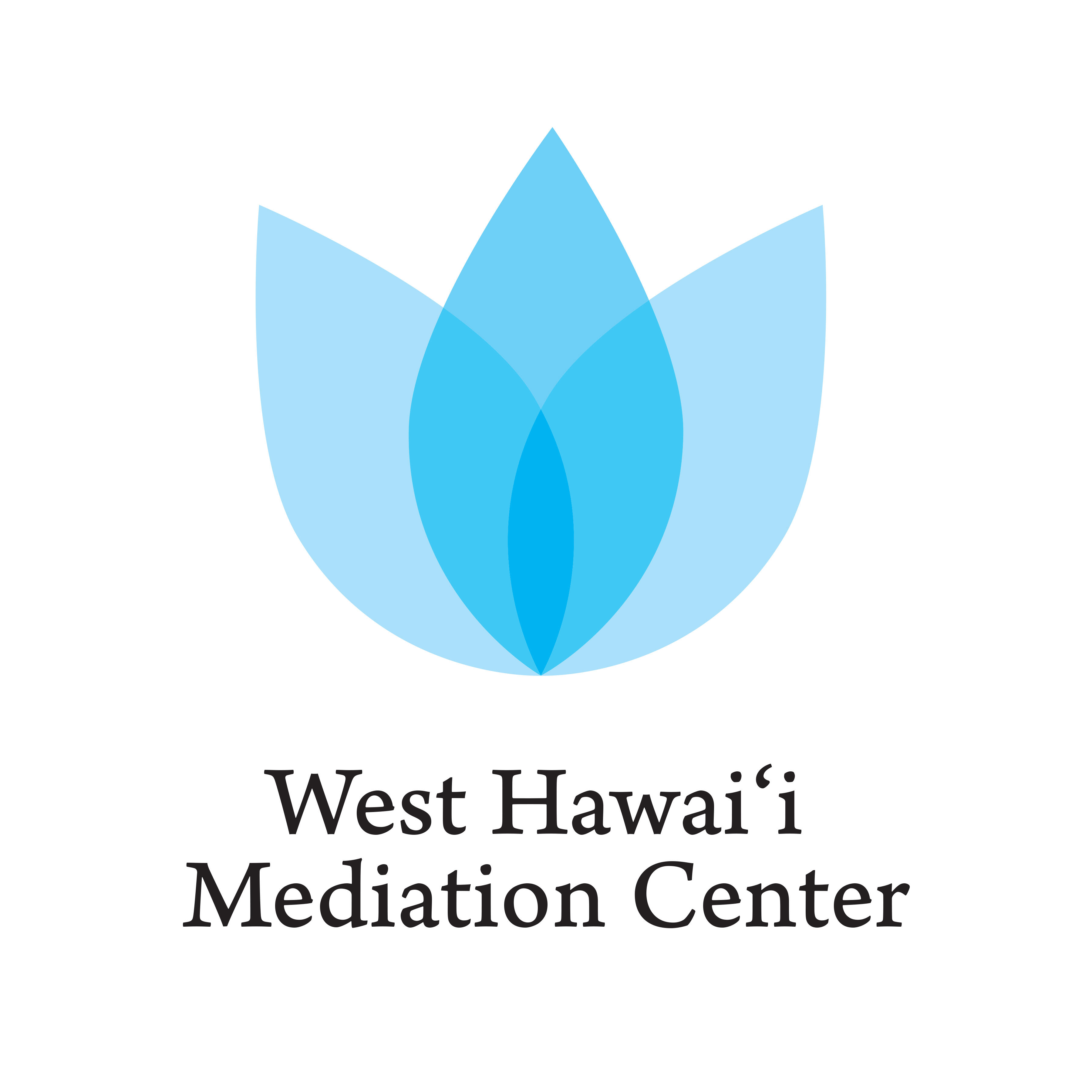BIG ISLAND MEDIATION