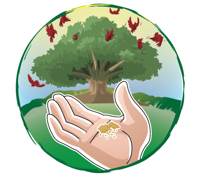 A Mustard Seed Outreach, Inc.